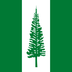 flag: Norfolk Island on Google