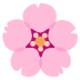 cherry blossom on Google