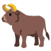 ox on Google