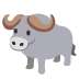 water buffalo on Google