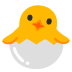 hatching chick on Google