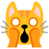 weary cat on Google