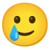 smiling face with tear on Google
