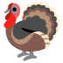 turkey on Google