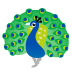 peacock on Google