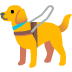 guide dog on Google