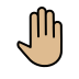 raised back of hand: medium-light skin tone on OpenMoji
