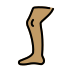 leg: medium skin tone on OpenMoji
