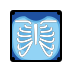 x-ray on OpenMoji