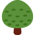 deciduous tree on Twitter/X