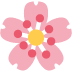 cherry blossom on Twitter/X