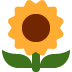 sunflower on Twitter/X