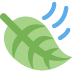 leaf fluttering in wind on Twitter/X