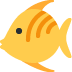tropical fish on Twitter/X