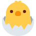 hatching chick on Twitter/X