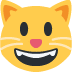 grinning cat on Twitter/X