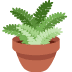 potted plant on Twitter/X